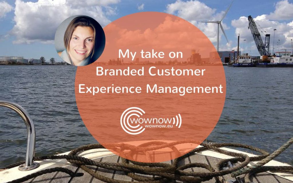 My take on Branded Customer Experience Management methodology by